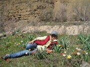 Uzbekistan tulips watching horse riding  through Paltau valley in Ugam-Chatkal national park