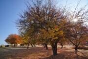 Photo tour Golden Autumn in mountains of Uzbekistan