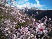 Ancient cities and nature of Uzbekistan on the Great Silk Road 