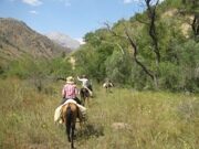 Uzbekistan  mountain horse riding to Pulatkhan plateau in Ugam-Chatkal national park